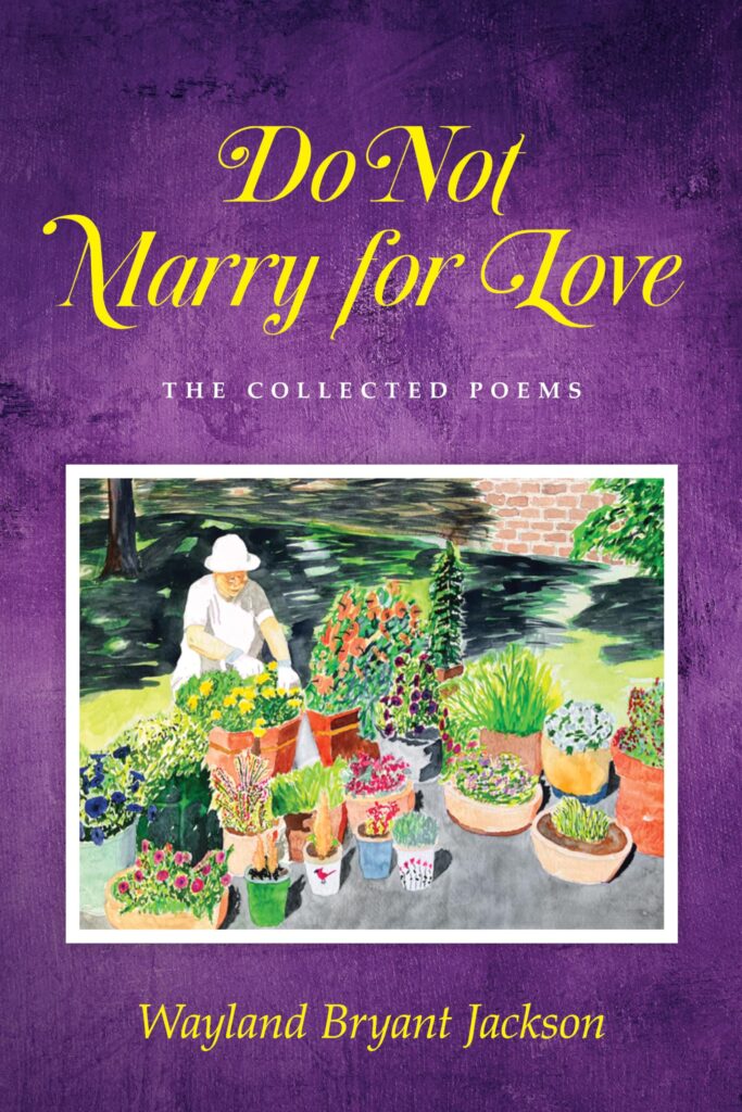 Book cover of "Do Not Marry for Love".